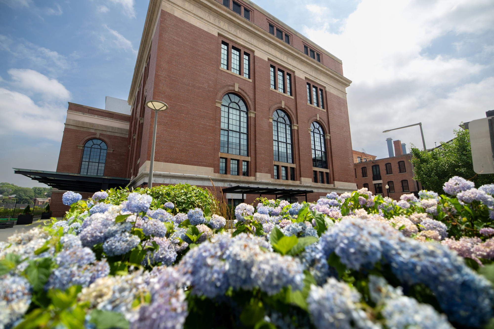 Hydrangeas in front of South Street Landing