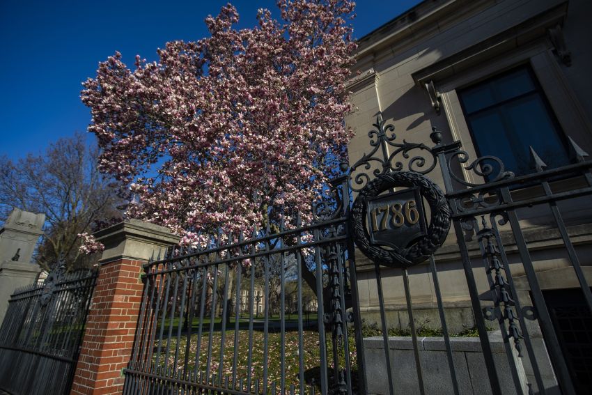 Magnolias on the Main Green