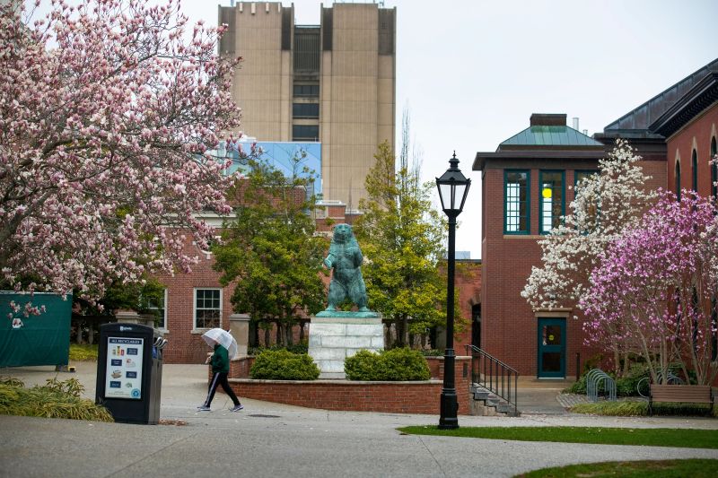 Person with umbrella walking past bear statue